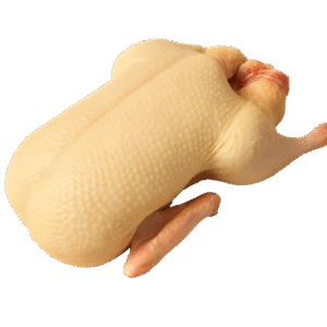 Whole Duck