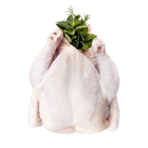 Whole Dressed Chicken